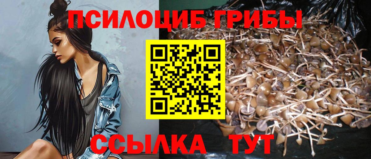 Галлюциногенные грибы MAGIC MUSHROOMS Жуковский