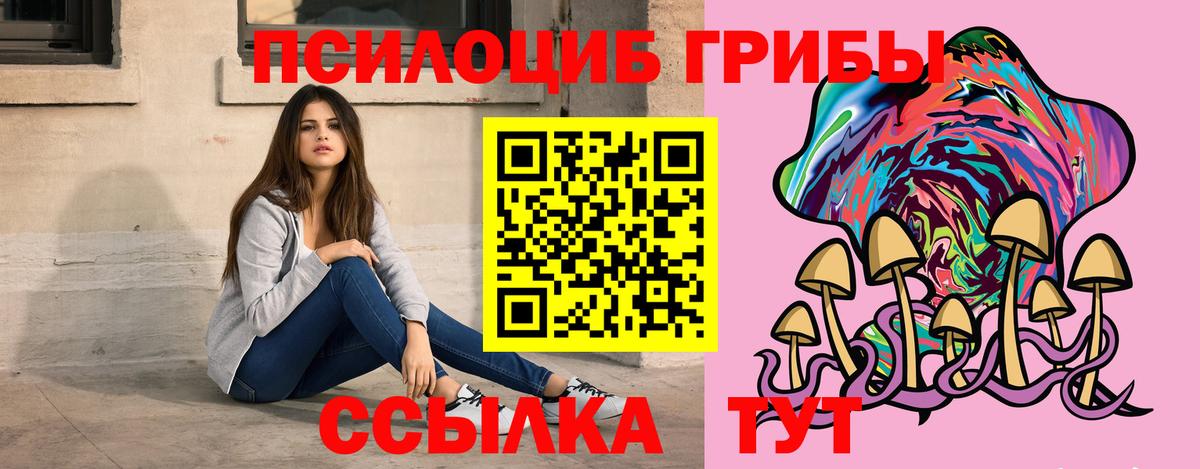 хочу   Вход с VPN  Псилоцибиновые грибы GOLDEN TEACHER  Жуковский  Галлюциногенные грибы ЛСД 